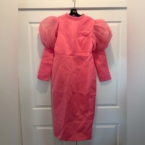 NWOT- Pink Puff Sleeve Princess Dress XL